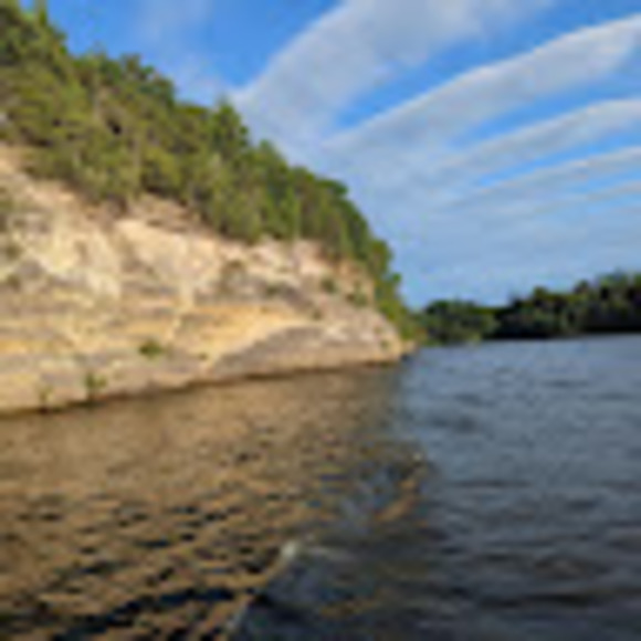 Meet your Posher, Chloe - Picture 1 of 1